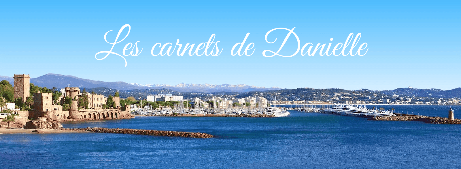 Les carnets de Danielle - Bannière principale